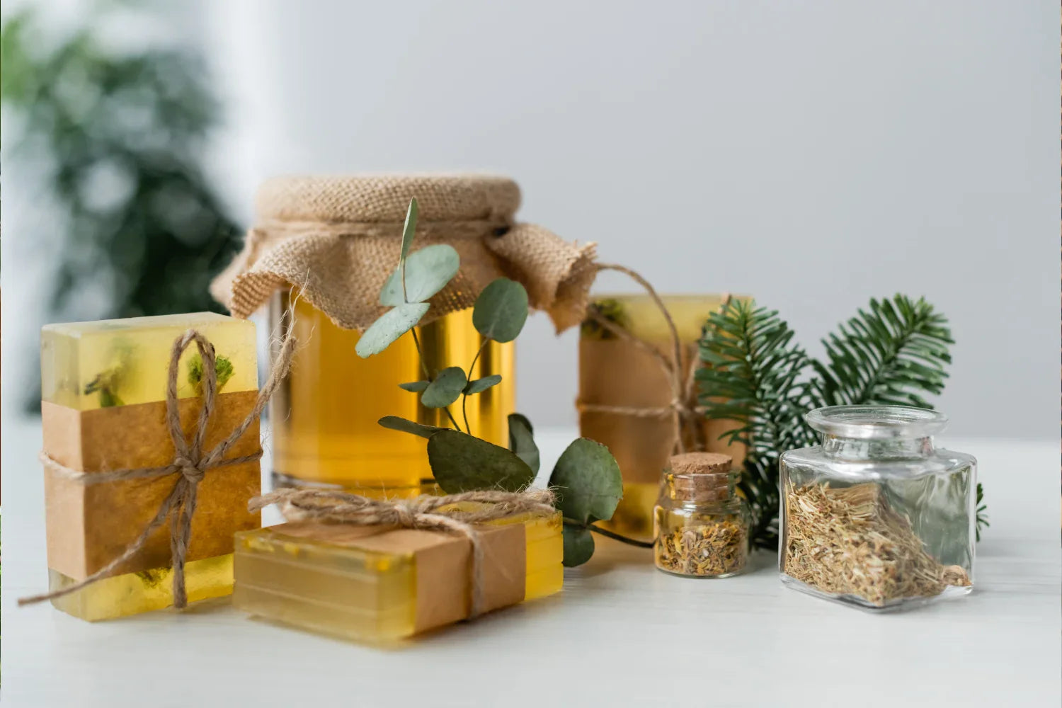 Healthy Gift Ideas: Online Honey Gift Packs in India