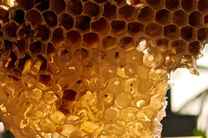 The History and Cultural Significance of Honey: From Ancient Times to Modern-Day Cuisine