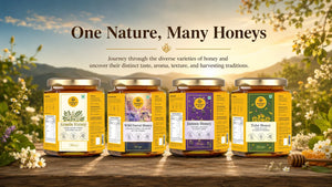 Exploration of the Different Types of Honey and Their Unique Properties